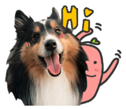 Red Bean and Black Nu. 02 sticker #14883742