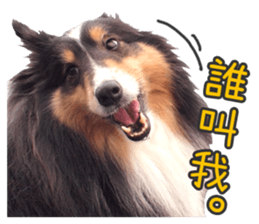 Red Bean and Black Nu. 02 sticker #14883743