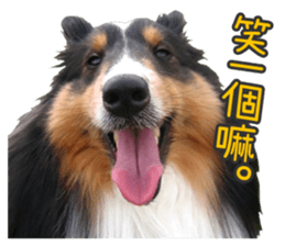 Red Bean and Black Nu. 02 sticker #14883749