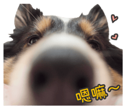 Red Bean and Black Nu. 02 sticker #14883760