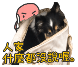 Red Bean and Black Nu. 02 sticker #14883764