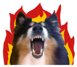 Red Bean and Black Nu. 02 sticker #14883766