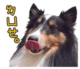 Red Bean and Black Nu. 02 sticker #14883769