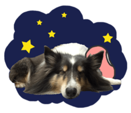 Red Bean and Black Nu. 02 sticker #14883773