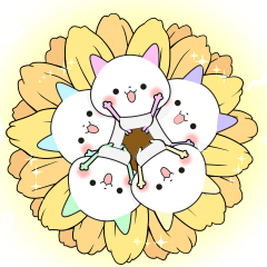 colorful cats!!!!!!!