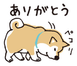 SHIBANBAN sticker #14887007