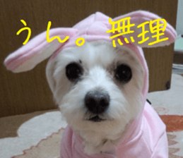 Gormart family 1 sticker #14889158