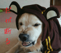 Gormart family 1 sticker #14889160