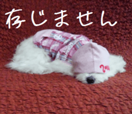 Gormart family 1 sticker #14889168