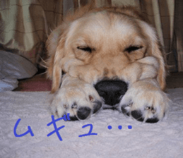 Gormart family 1 sticker #14889169