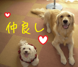 Gormart family 1 sticker #14889170