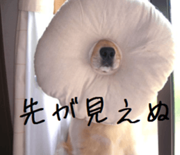 Gormart family 1 sticker #14889171