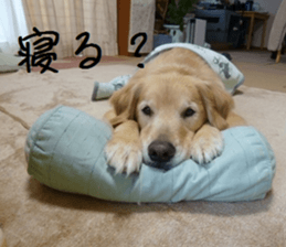 Gormart family 1 sticker #14889172