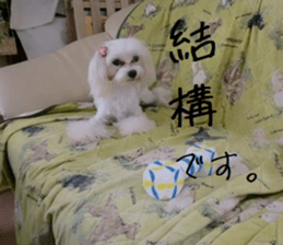 Gormart family 1 sticker #14889174