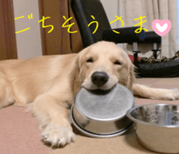 Gormart family 1 sticker #14889175