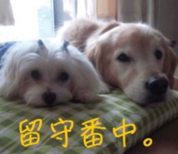 Gormart family 1 sticker #14889176