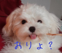 Gormart family 1 sticker #14889178