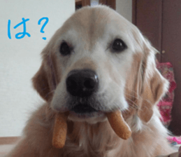 Gormart family 1 sticker #14889180