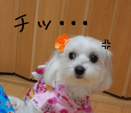 Gormart family 1 sticker #14889182