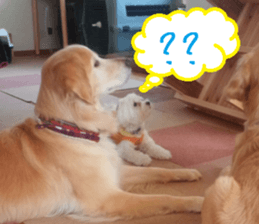 Gormart family 1 sticker #14889183