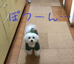 Gormart family 1 sticker #14889184