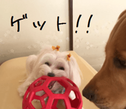 Gormart family 1 sticker #14889185