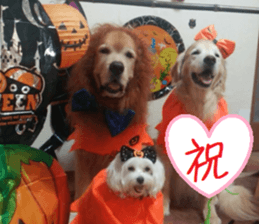 Gormart family 1 sticker #14889186