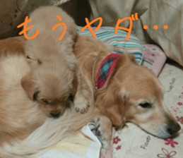 Gormart family 1 sticker #14889187