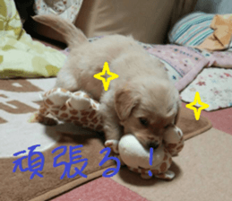 Gormart family 1 sticker #14889188