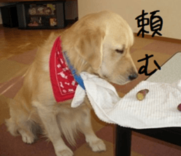 Gormart family 1 sticker #14889190