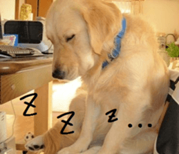 Gormart family 1 sticker #14889191