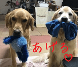 Gormart family 1 sticker #14889193