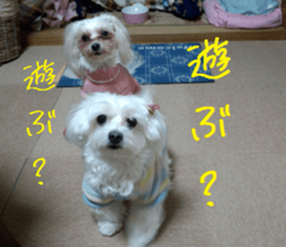 Gormart family 1 sticker #14889197