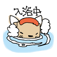 Hako-Nyan sticker #14889743