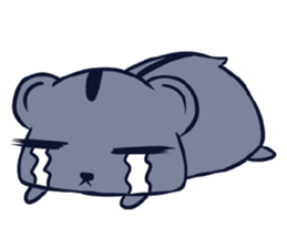 Hamster PaiPai sticker #14889999
