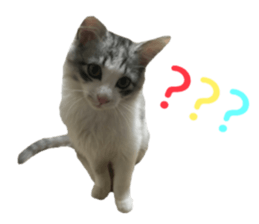 cat of cure Facial expressions sticker #14890122