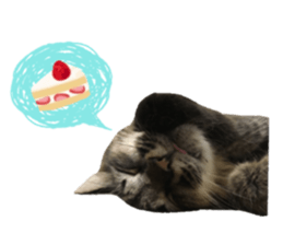 cat of cure Facial expressions sticker #14890124