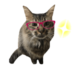 cat of cure Facial expressions sticker #14890125