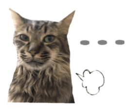 cat of cure Facial expressions sticker #14890128