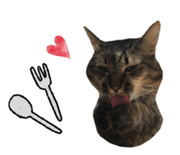 cat of cure Facial expressions sticker #14890138
