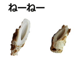 Tikuwa! sticker #14890309