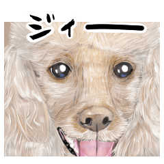 Anna is a mother of toy poodles