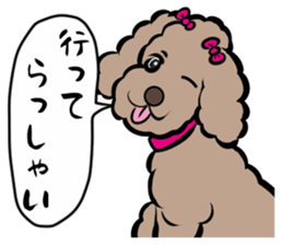 Anna is a mother of toy poodles sticker #14890377