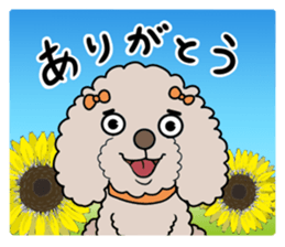 Anna is a mother of toy poodles sticker #14890382