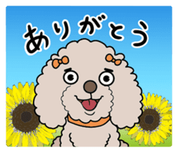 Anna is a mother of toy poodles sticker #14890382