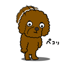 Anna is a mother of toy poodles sticker #14890383