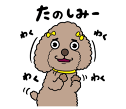 Anna is a mother of toy poodles sticker #14890387