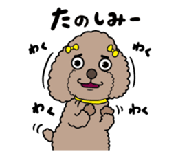 Anna is a mother of toy poodles sticker #14890387