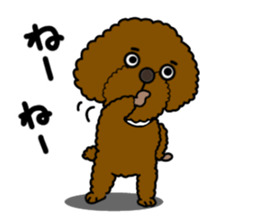 Anna is a mother of toy poodles sticker #14890390