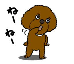 Anna is a mother of toy poodles sticker #14890390